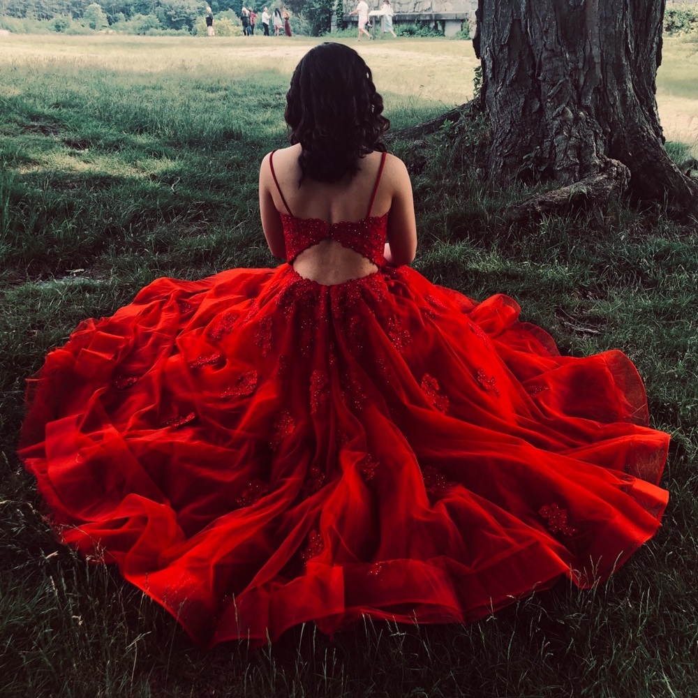 prom dress, ball gown, Quinceanera dress, etc!